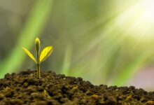 2025-05-08-Wirtschaftswachstum